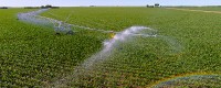 Point Control with T-L Pivot Irrigation Systems