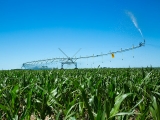 corner-tl-pivot-irrigation